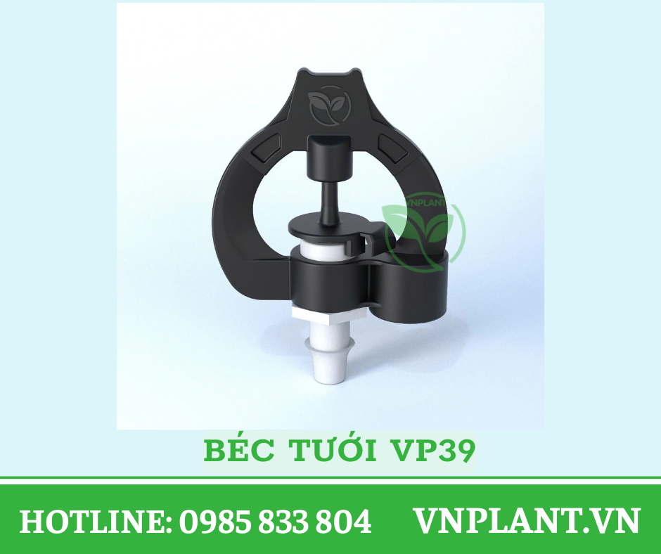 bec tưới vp39